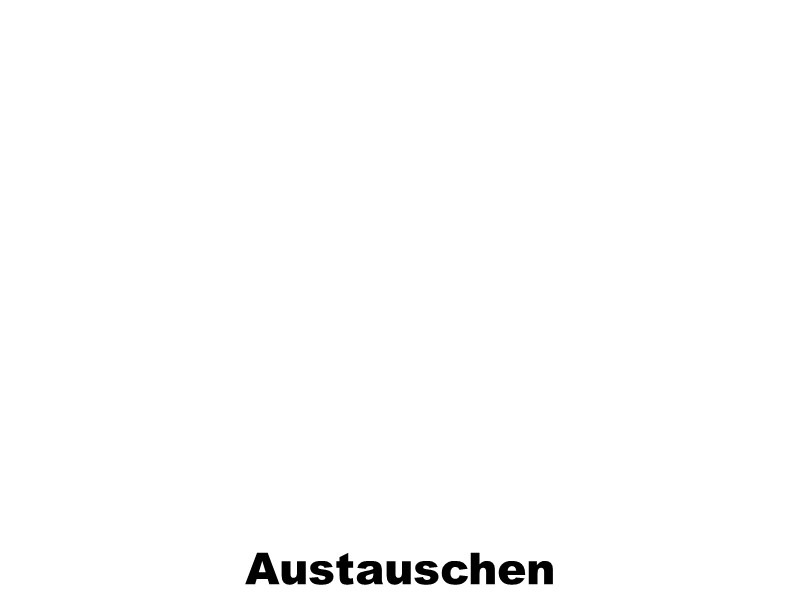 
AUSTAUSCHEN
