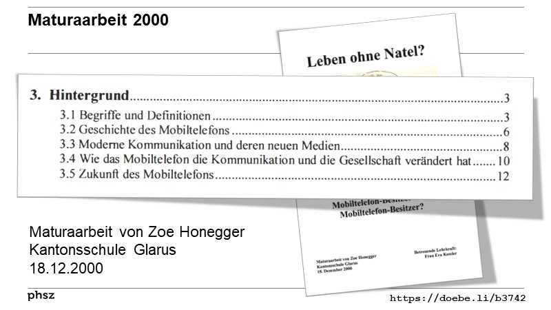 Maturaarbeit 2000