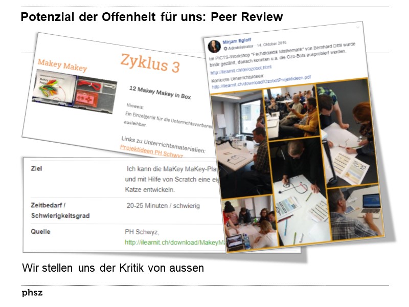 Potenzial der Offenheit für uns: Peer Review