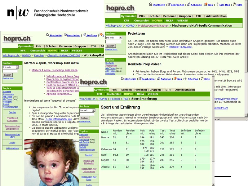 Beispiele von schulischen Wikisseiten