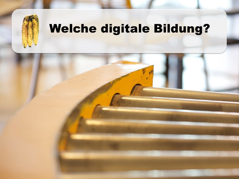 Welche digitale Bildung?